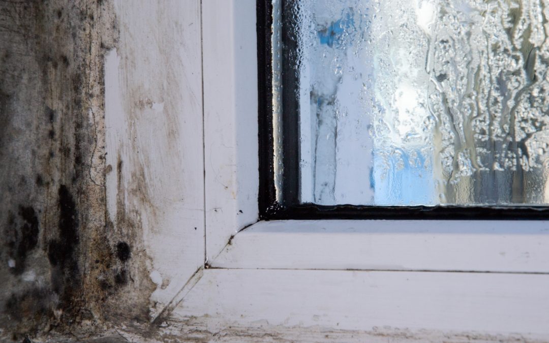 Complex Residential Possession Proceedings